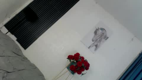 Snapshot of disneycock69_dimple chatting on 9, 3, 2026 Kataluna online show from 9, 3, 2026