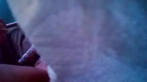 Snapshot of dixienormes chatting on 29, 12, 2024 dixienormes online show from 29, 12, 2024