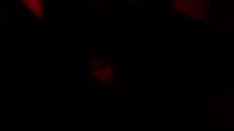 Snapshot of dixienormes chatting on 12, 1, 2026 dixienormes online show from 12, 1, 2026