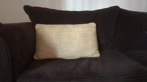 Dizzydig online show from 25, 1, 2025