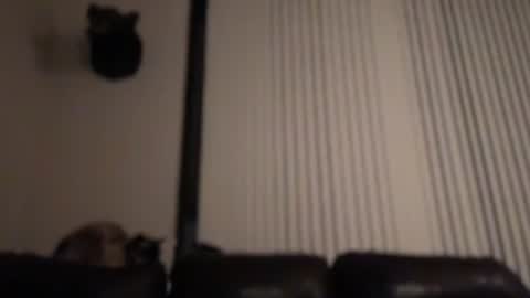 DJ Chaterbate online show from 4, 2, 2026