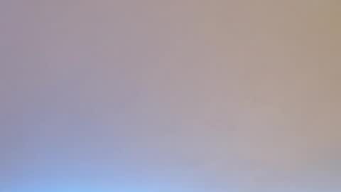 Snapshot of dk_204 chatting on 25, 12, 2024 daiki sx online show from 25, 12, 2024