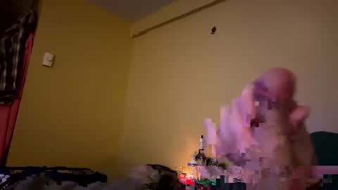 dnice69968127 online show from 6, 1, 2025