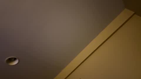 dnice69968127 online show from 18, 1, 2025