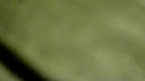 Snapshot of doby2020 chatting on 15, 1, 2026 Doby online show from 15, 1, 2026