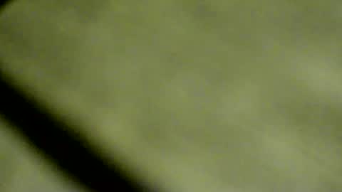 Snapshot of doby2020 chatting on 8, 4, 2026 Doby online show from 8, 4, 2026