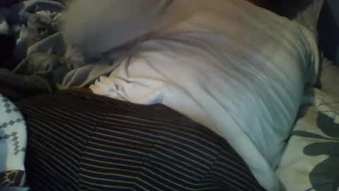 Alex online show from 3, 12, 2025