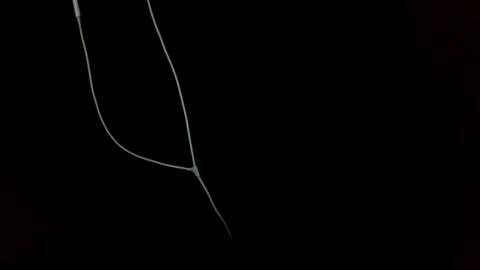 doctor_luv_69 online show from 1, 1, 2025