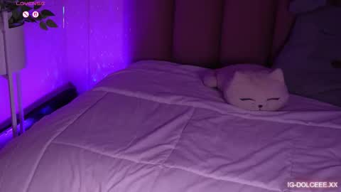 Snapshot of dolcexx chatting on 13, 1, 2026 Dolcexx online show from 13, 1, 2026