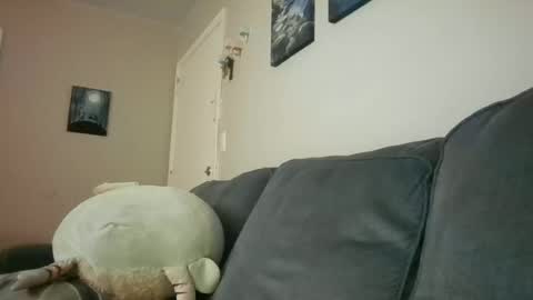 Spicy online show from 2, 7, 2026