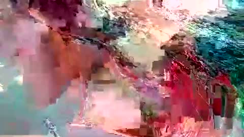 dolly_joana online show from 10, 11, 2025