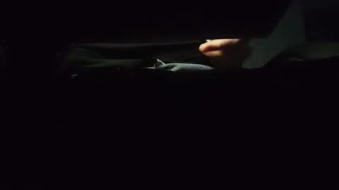 Snapshot of domcook147 chatting on 4, 1, 2025 domcook147 online show from 4, 1, 2025