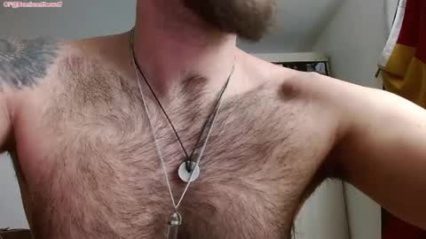 Logan - INDEPENDET MODEL online show from 23, 4, 2026