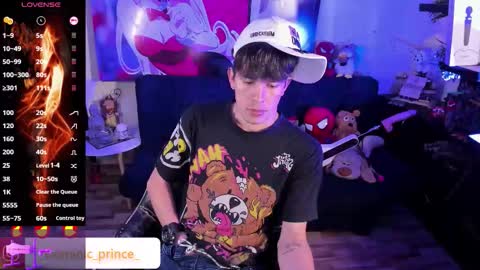 DOMINIC PRINCE   online show from 28, 11, 2025