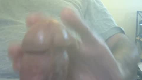 don_quixote3 online show from 2, 7, 2026
