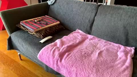 Alfredo online show from 7, 4, 2026