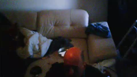 donosus online show from 28, 2, 2026