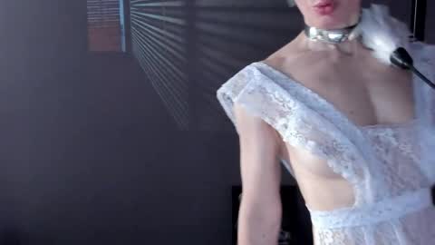 Dorothy Next stream on Monday at 3am-9am online show from 18, 4, 2026