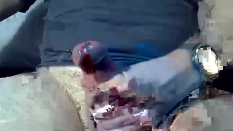 dosser8 online show from 8, 1, 2025