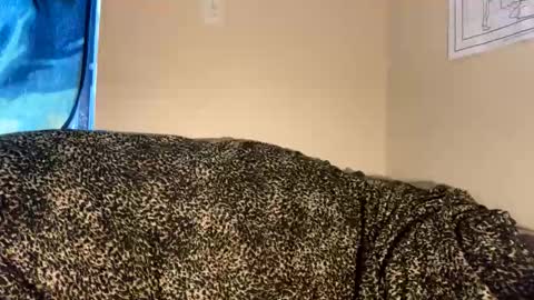 Snapshot of dove_love22 chatting on 30, 11, 2025 dove_love22 online show from 30, 11, 2025