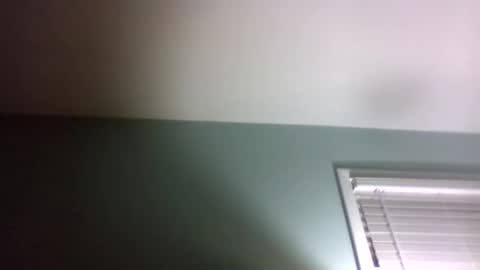 dowbo online show from 24, 1, 2025