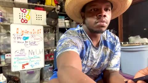 MrPirated online show from 27, 2, 2025