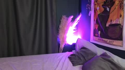 Draculaura online show from 20, 12, 2024