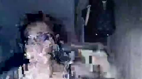 Dragon Lady online show from 8, 3, 2026