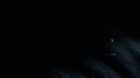 Dreadedted online show from 24, 11, 2025