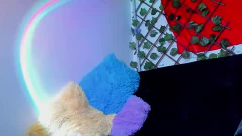 Dreyk online show from 26, 7, 2026