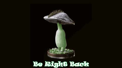 Tara  Sonny online show from 28, 1, 2025