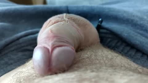 drippingrabbit online show from 21, 4, 2026