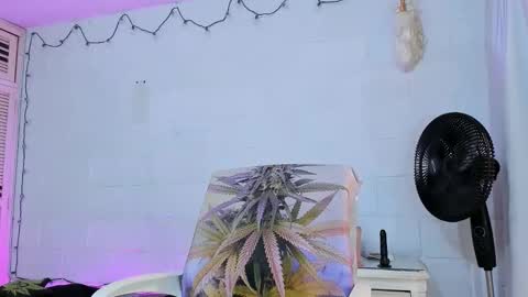 drippyorlove online show from 21, 4, 2026