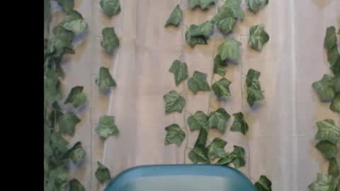 Snapshot of dripqueenx chatting on 14, 9, 2025 linda online show from 14, 9, 2025