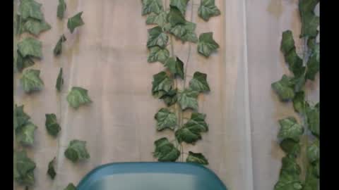 Snapshot of dripqueenx chatting on 16, 9, 2025 linda online show from 16, 9, 2025