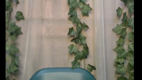 Snapshot of dripqueenx chatting on 28, 9, 2025 linda online show from 28, 9, 2025
