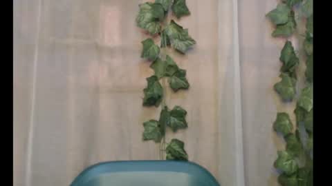 Snapshot of dripqueenx chatting on 29, 9, 2025 linda online show from 29, 9, 2025