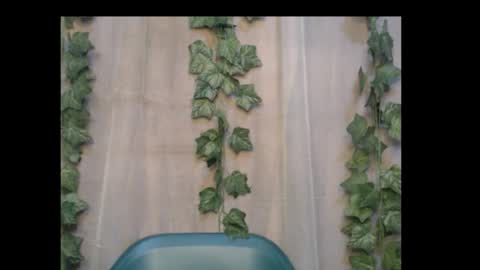 Snapshot of dripqueenx chatting on 6, 10, 2025 linda online show from 6, 10, 2025