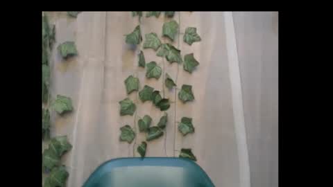 Snapshot of dripqueenx chatting on 8, 10, 2025 linda online show from 8, 10, 2025