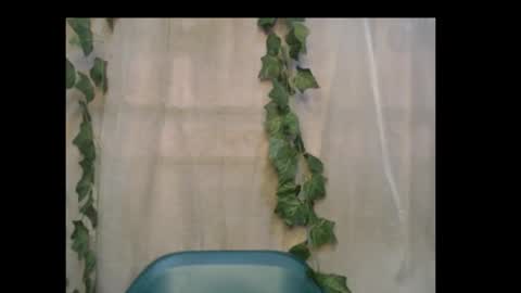 Snapshot of dripqueenx chatting on 16, 10, 2025 linda online show from 16, 10, 2025