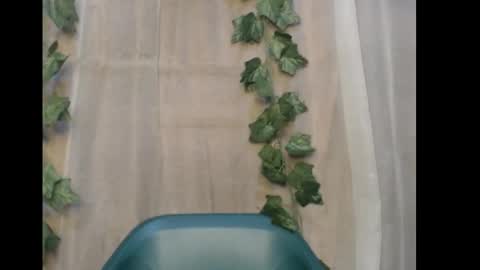 Snapshot of dripqueenx chatting on 21, 12, 2025 linda online show from 21, 12, 2025