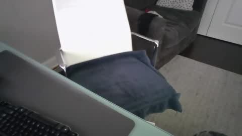 ds689655 online show from 26, 9, 2025