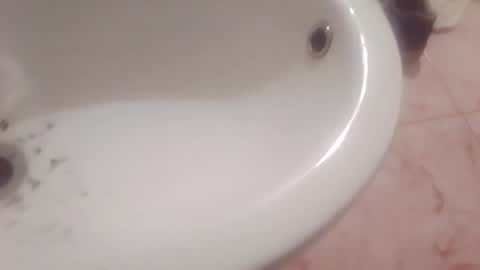 dthedog12 online show from 8, 2, 2026