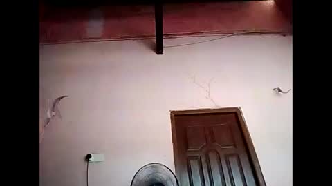 duskytamilkarthik online show from 16, 5, 2026