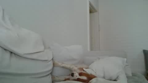 dustyroy09 online show from 14, 2, 2025