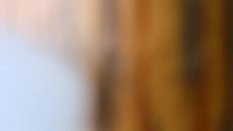 dVe1oPe online show from 14, 10, 2025