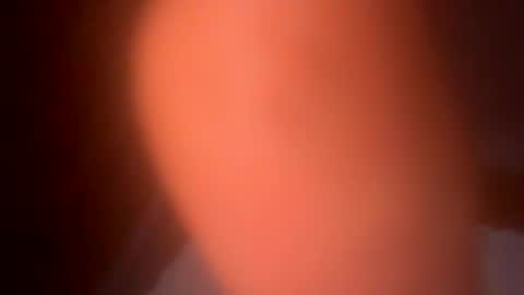 dvs1295 online show from 12, 4, 2026