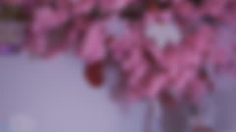 Dwayne xx online show from 15, 12, 2024