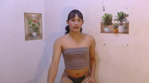 dy_namite online show from 12, 5, 2026