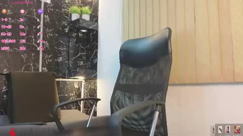 D Y L A N online show from 23, 4, 2026